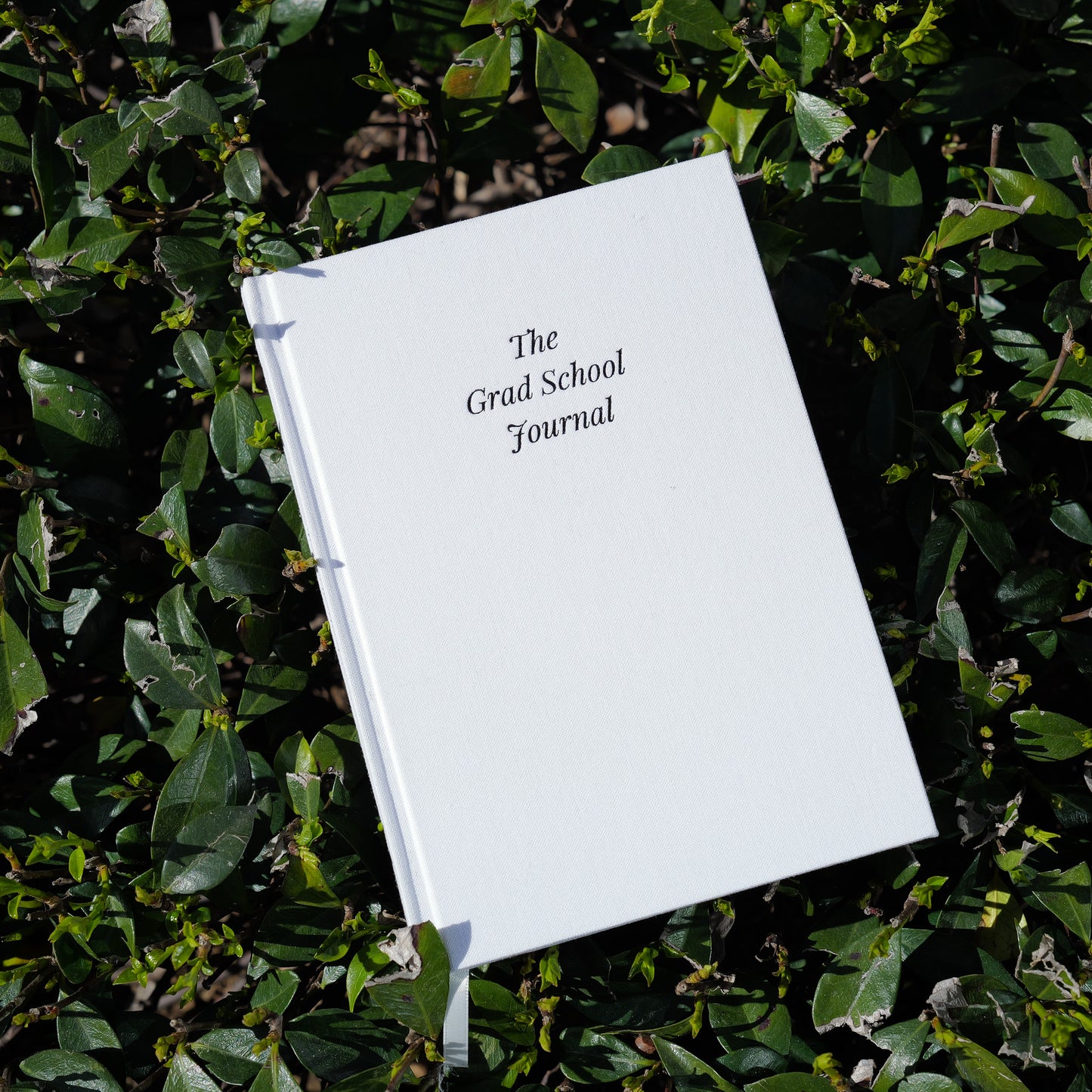 The Grad School Journal